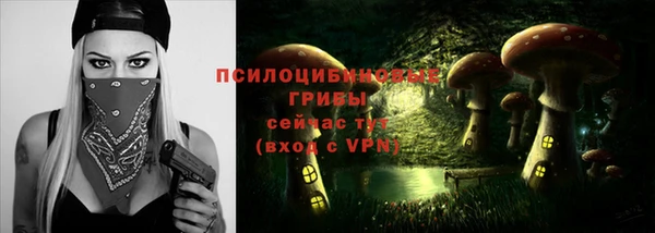 apvp Тайга