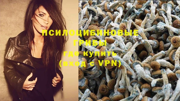 таблы Елабуга