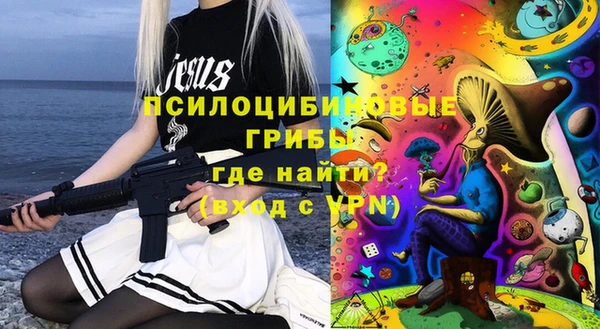 ешки Ельня
