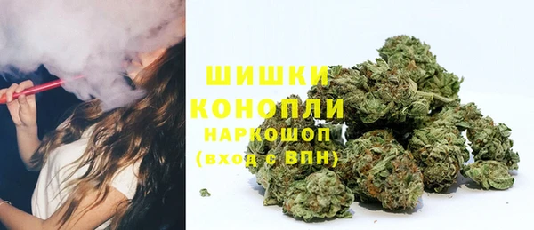 ешки Ельня