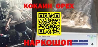 гидра Малоярославец