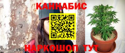 гидра Малоярославец