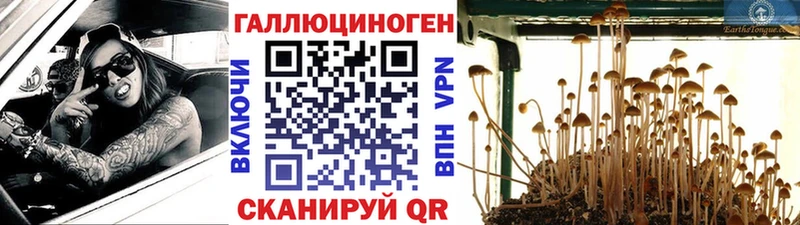 hydra ONION  Елизово  Псилоцибиновые грибы MAGIC MUSHROOMS 