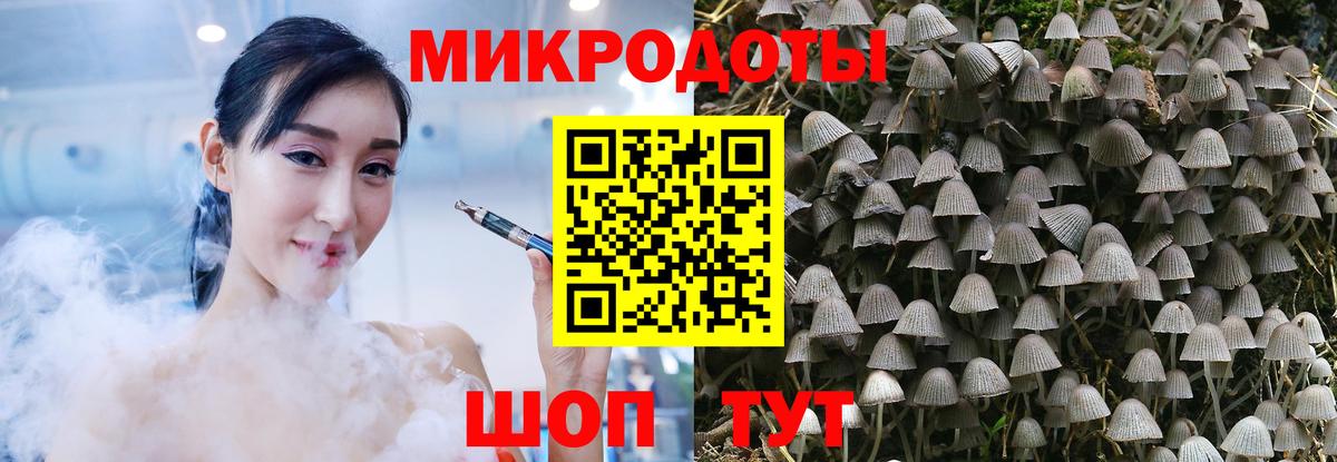 Псилоцибиновые грибы ЛСД  Псилоцибиновые грибы Psilocybine cubensis  Елизово  Вход с VPN 